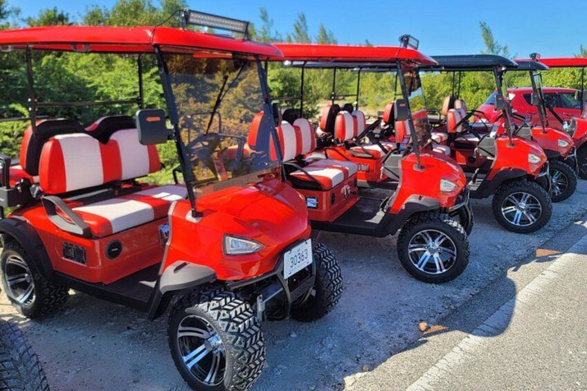 A row of red golf carts parked on a gravel path with greenery in the background. 5