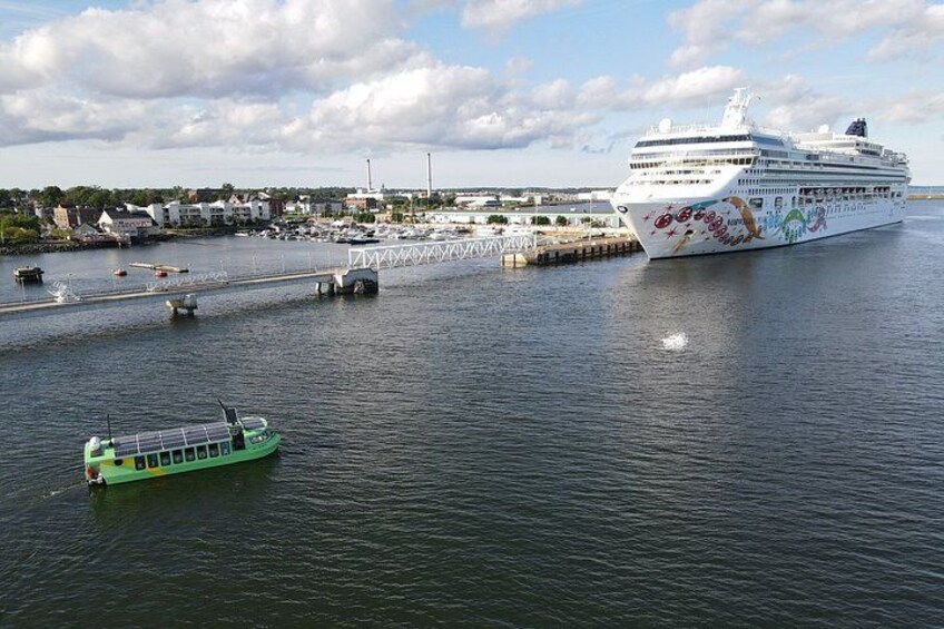 Solar harbour cruise with live music! (Optional lunch/dinner) 2