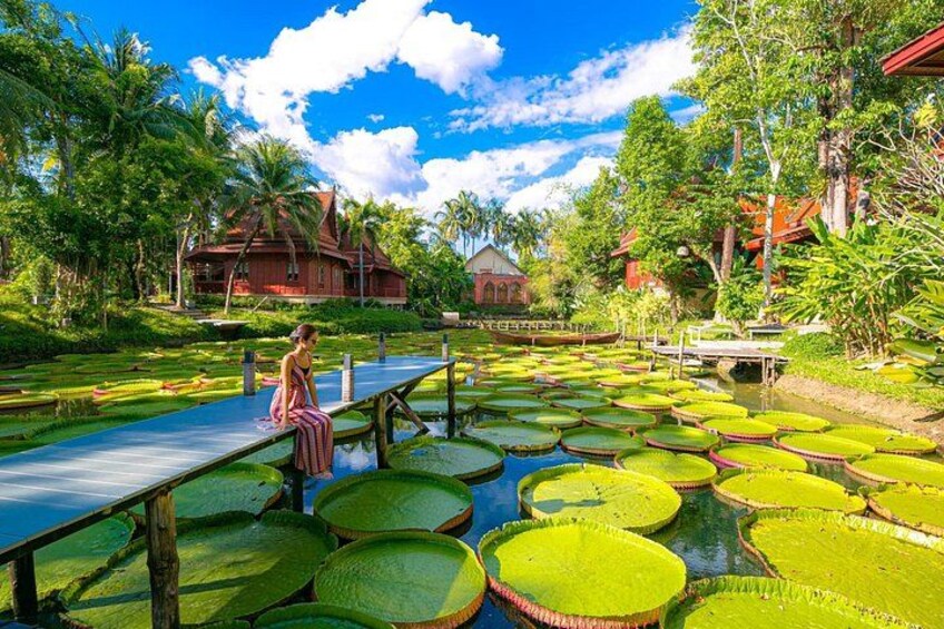 Phuket Giant Water Lilies & Temple Tour - Private & All-Inclusive 1