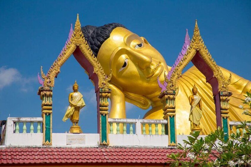 Phuket Giant Water Lilies & Temple Tour - Private & All-Inclusive 5