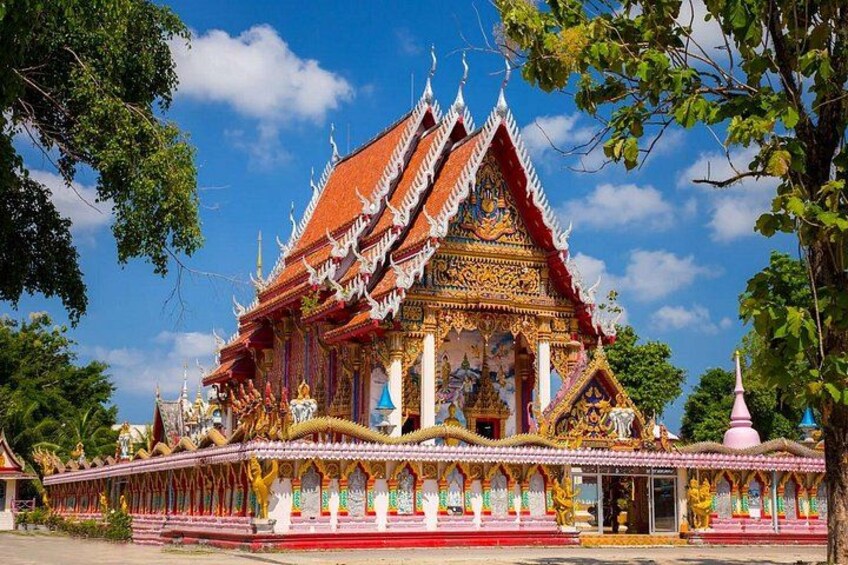 Phuket Giant Water Lilies & Temple Tour - Private & All-Inclusive 4