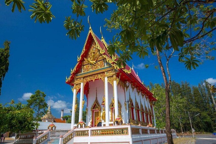 Phuket Giant Water Lilies & Temple Tour - Private & All-Inclusive 5