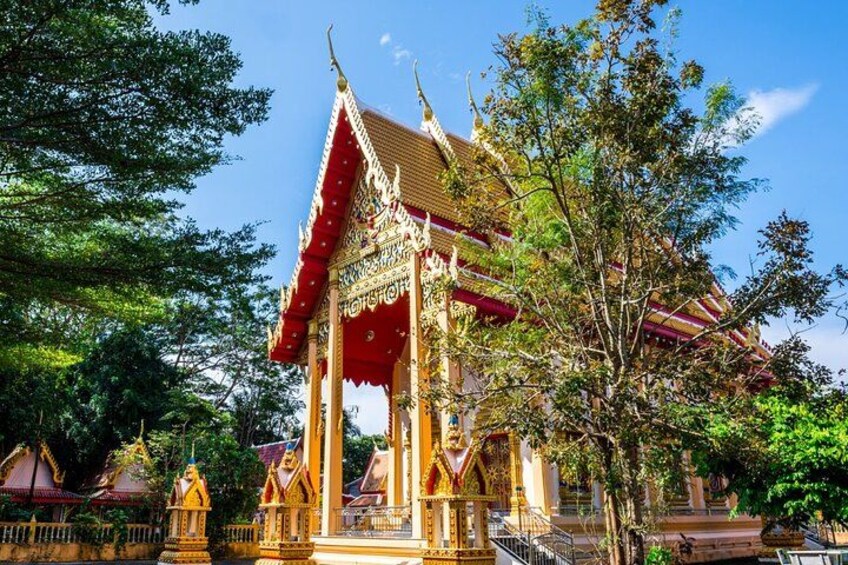 Phuket Giant Water Lilies & Temple Tour - Private & All-Inclusive 4