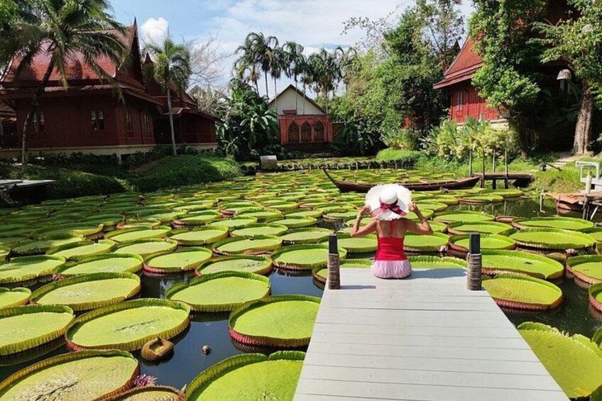Phuket Giant Water Lilies & Temple Tour - Private & All-Inclusive 3