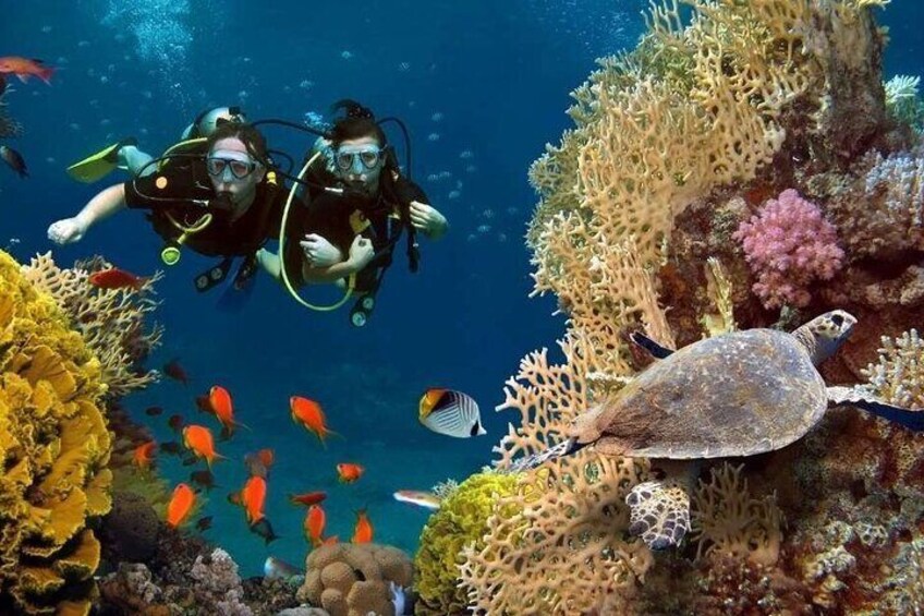 Scuba Diving in Antalya