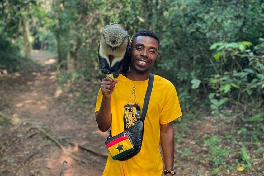 A person holding a lemur in a forest. 2