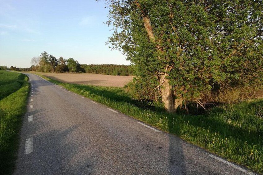 The Viking History passes through the beautiful Swedish countryside, here during springtime. 1
