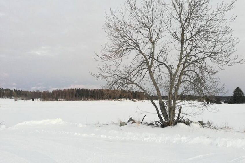 The Viking History Tour runs during winter as well with many beautiful snow-covered fields. 5