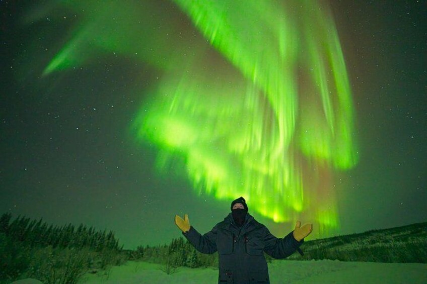 Northern Lights - Aurora with FREE Photos - Arctic Night Tours 2