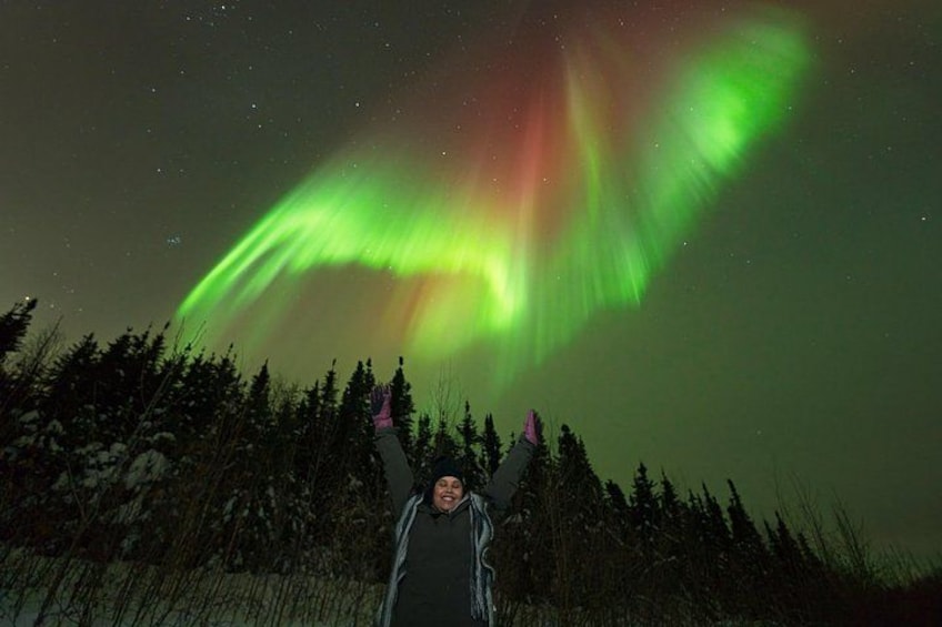 A person standing in a forest with a night sky displaying the aurora borealis. 3