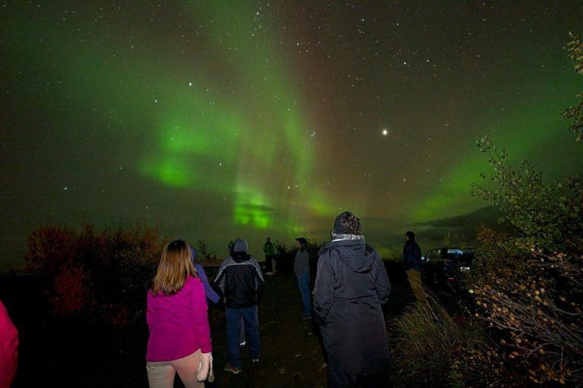 Northern Lights - Aurora with FREE Photos - Arctic Night Tours 4