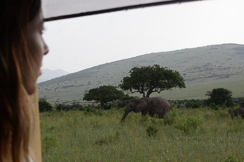 3 days Masai Mara on Private 4x4 Land Cruiser 3