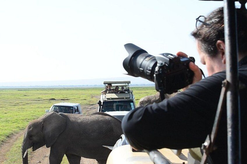 3 days Masai Mara on Private 4x4 Land Cruiser 4