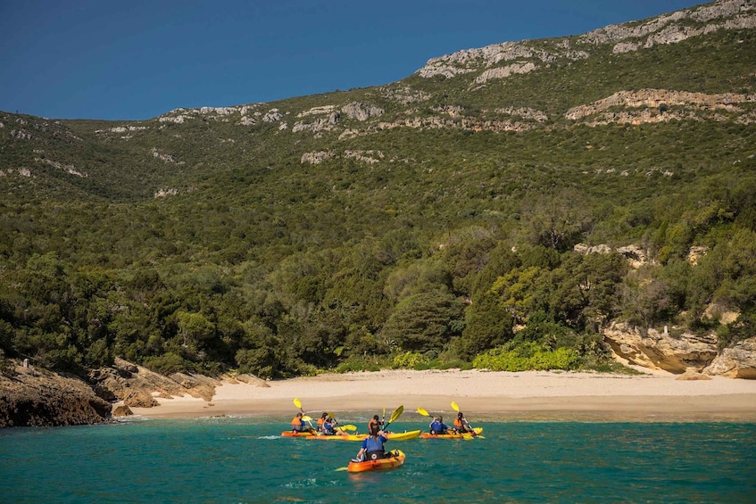 Picture 20 for Activity Lisbon: Kayak Tour Arrábida Natural Park, Setubal, Sesimbra 3