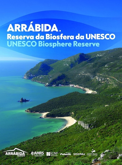 Picture 1 for Activity Lisbon: Kayak Tour Arrábida Natural Park, Setubal, Sesimbra 5