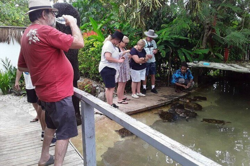 Taste of the Tropics Tour in Efate Vanuatu