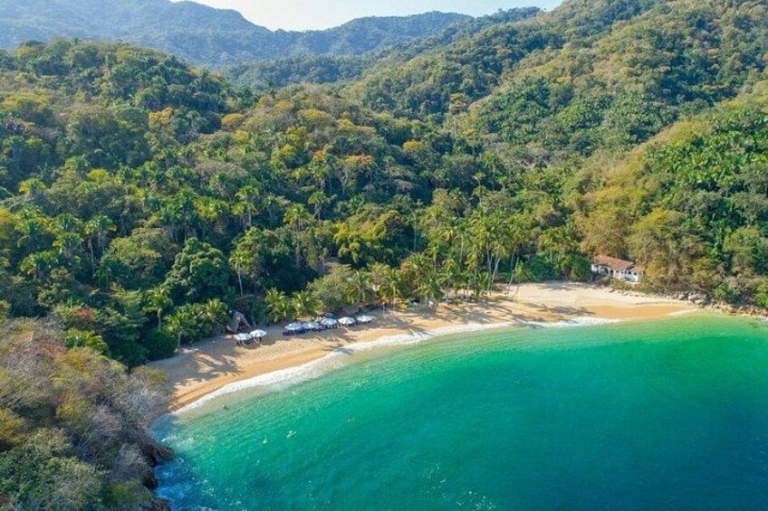 Un paisaje costero con playa, bosque denso y una pequeña construcción. 5