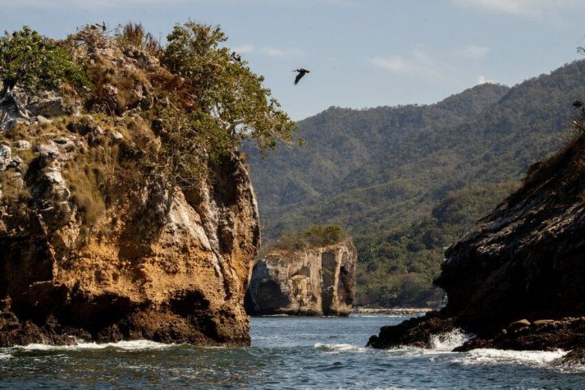 Paisaje costero con acantilados rocosos, una masa de agua y un ave volando. 4