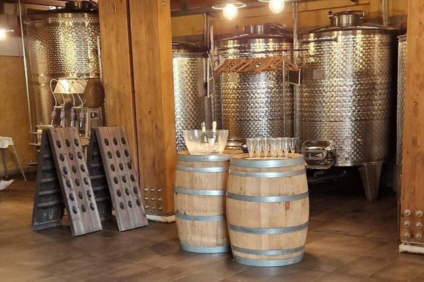 Wine tasting with tour 4