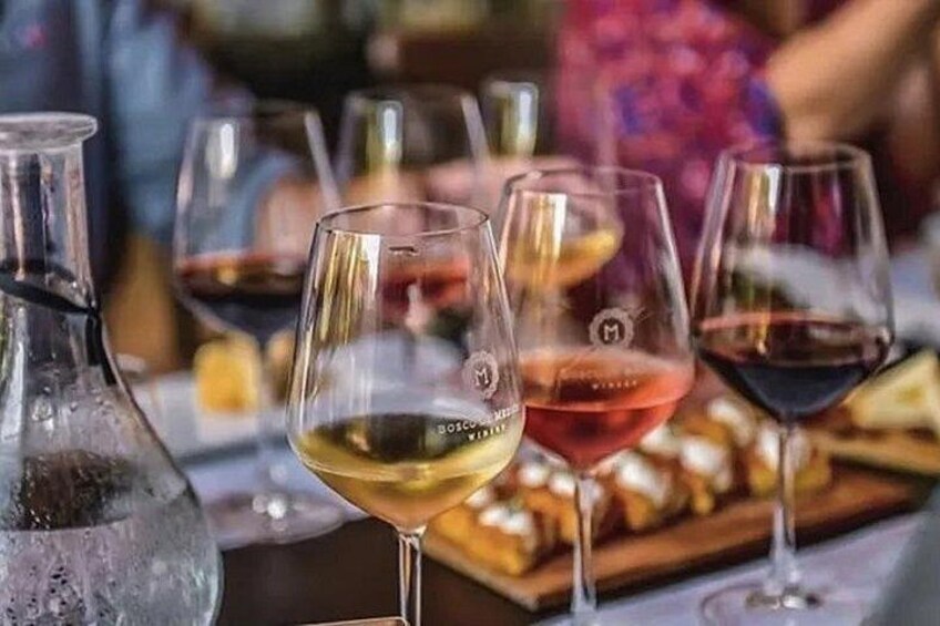 Wine tasting with tour 3