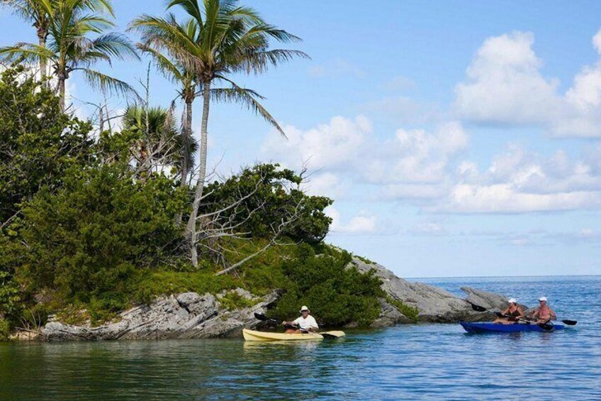 Bermuda Kayak Eco-Tour