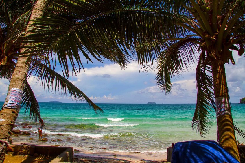 A beach with palm trees and turquoise sea. 4