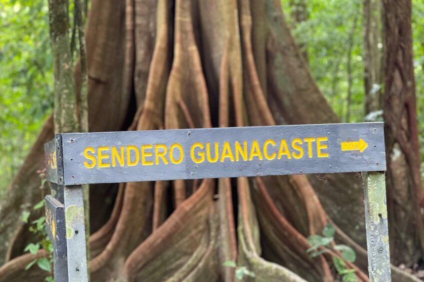 2 Days 1 Night Corcovado Jungle Adventure Sirena Ranger Station 2