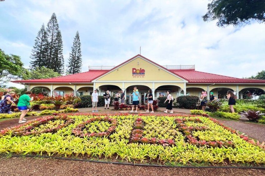 Visit the famous Dole plantation 2