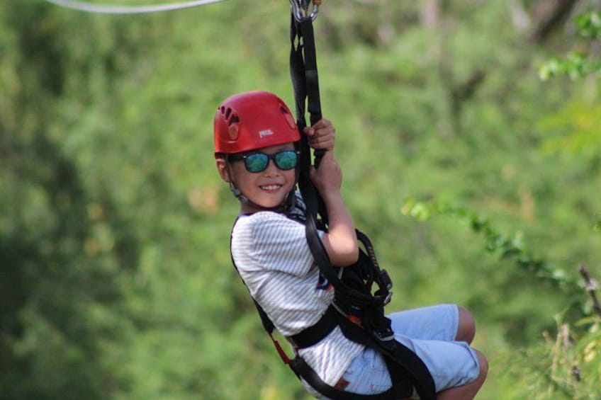 Dole Plantation, Ko Hana Rum and 3 Zipline Adventure Tour 1