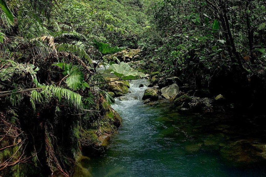Bajos del Toro Waterfall Paradise: Hidden Gem Trek 3