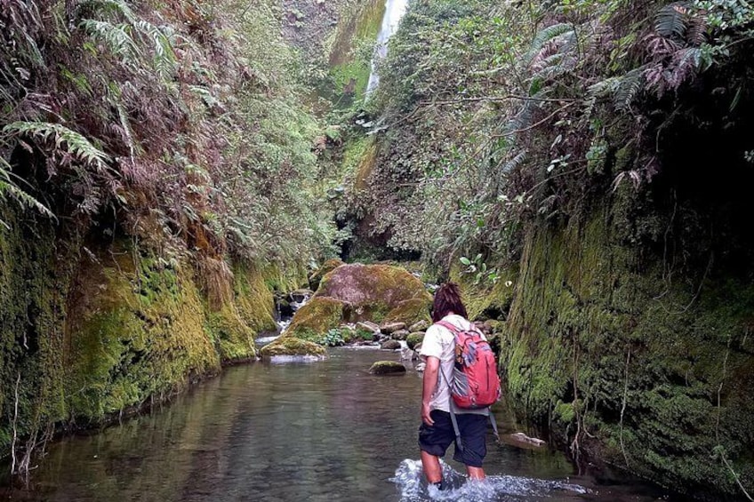 Bajos del Toro Waterfall Paradise: Hidden Gem Trek 5