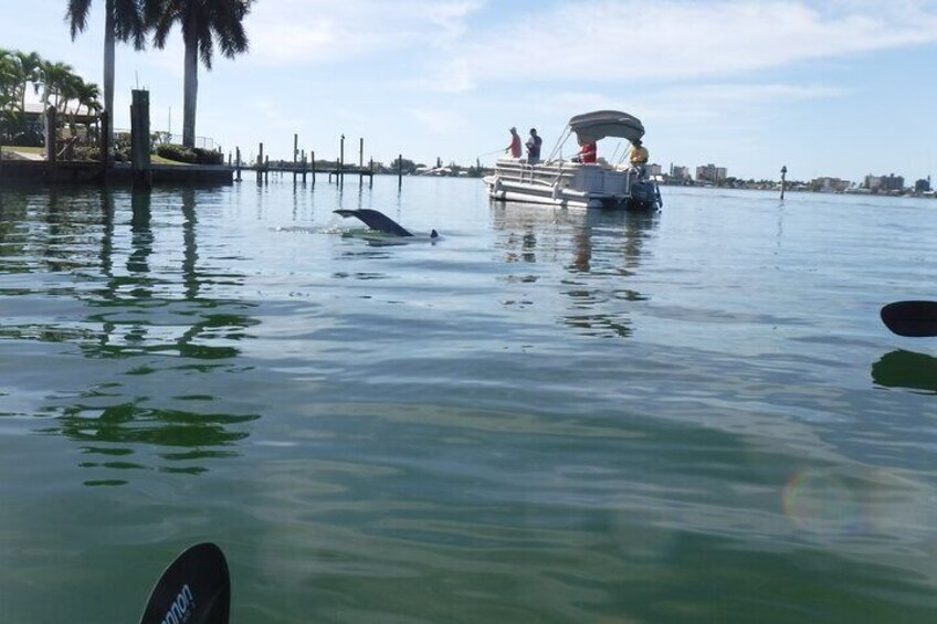 Guided Kayak Sunset Tour in Pelican Bay at Fort Myers Beach