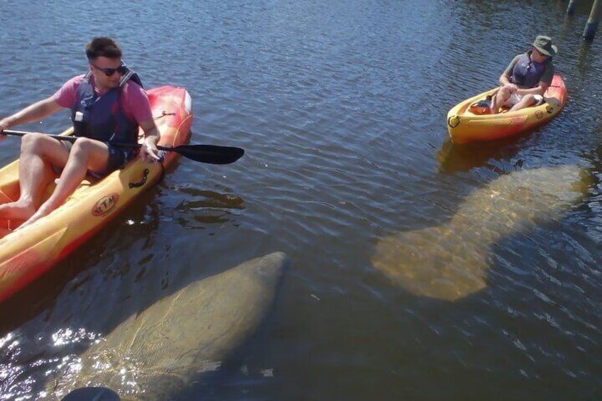 Guided Kayak Sunset Tour in Pelican Bay at Fort Myers Beach