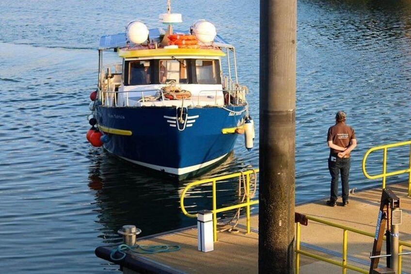 Howth Coastal Cruise and Dine Experience 4