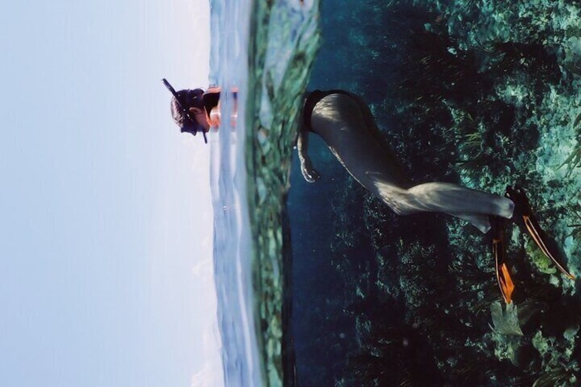 A person snorkeling underwater. 2