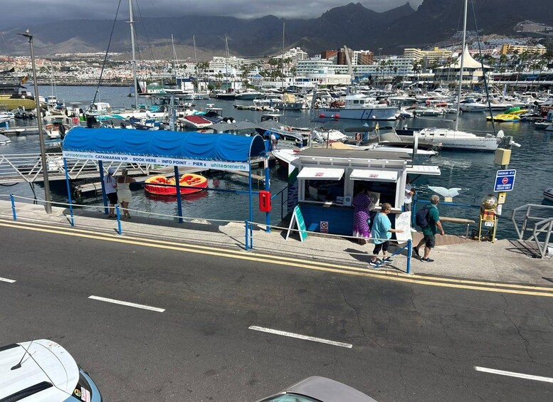 Picture 12 for Activity Tenerife: Marine-Life Tour with Transfer, Buffet and Drinks 3