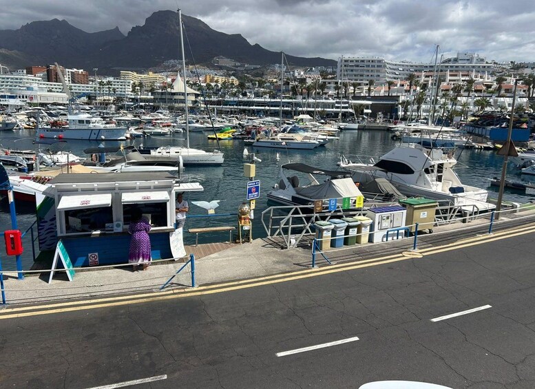 Picture 13 for Activity Tenerife: Marine-Life Tour with Transfer, Buffet and Drinks 4