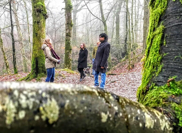 Picture 2 for Activity From Liverpool: Lake District Sightseeing Adventure Day Trip 3