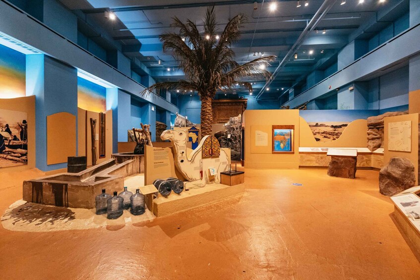 An indoor exhibit with a central palm tree, surrounded by various artifacts and displays. 2