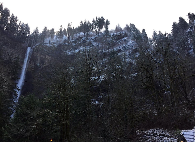Picture 12 for Activity Portland: Mount Hood Wine and Waterfalls Full-Day Tour 2