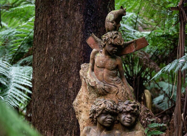 Picture 5 for Activity From Melbourne: Dandenong Ranges Private Nature Day Tour 2