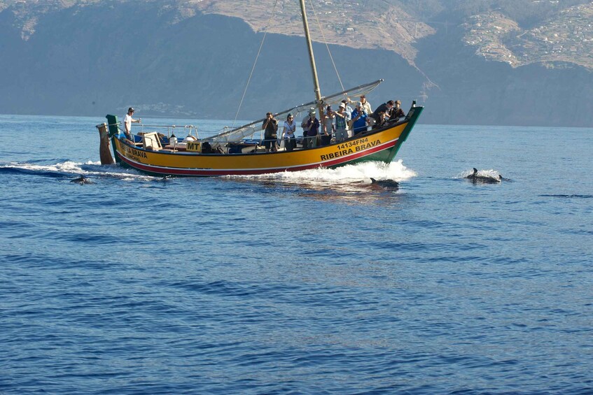 Picture 13 for Activity Madeira: Whale Watching Excursion in a Traditional Vessel 5