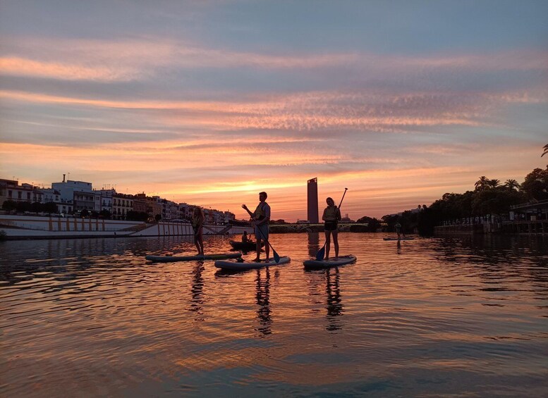 Picture 1 for Activity Seville: Sunset and Evening Paddle Boarding Tour 3