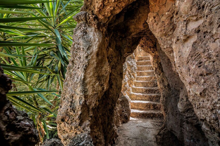 Picture 6 for Activity Cambrils: Parc Samà Entry Ticket 2