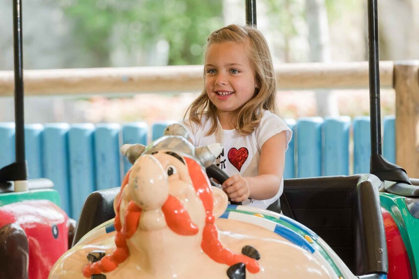 Picture 18 for Activity Paris: Parc Astérix 1-Day Ticket 2