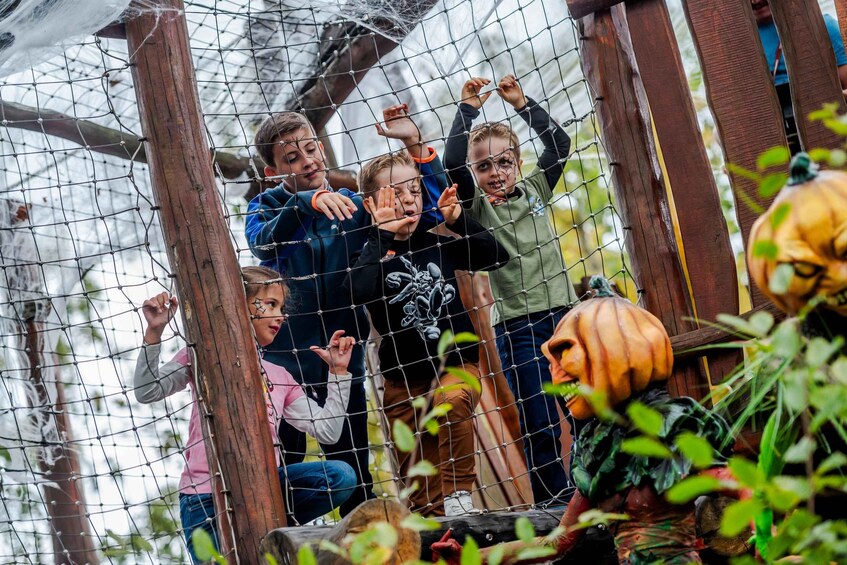 Picture 6 for Activity Paris: Parc Astérix 1-Day Ticket 4