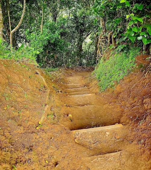 Picture 2 for Activity "Tropically Yours" Waterfall Nature Hike. 2