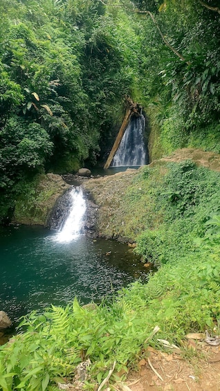 Picture 3 for Activity "Tropically Yours" Waterfall Nature Hike. 5