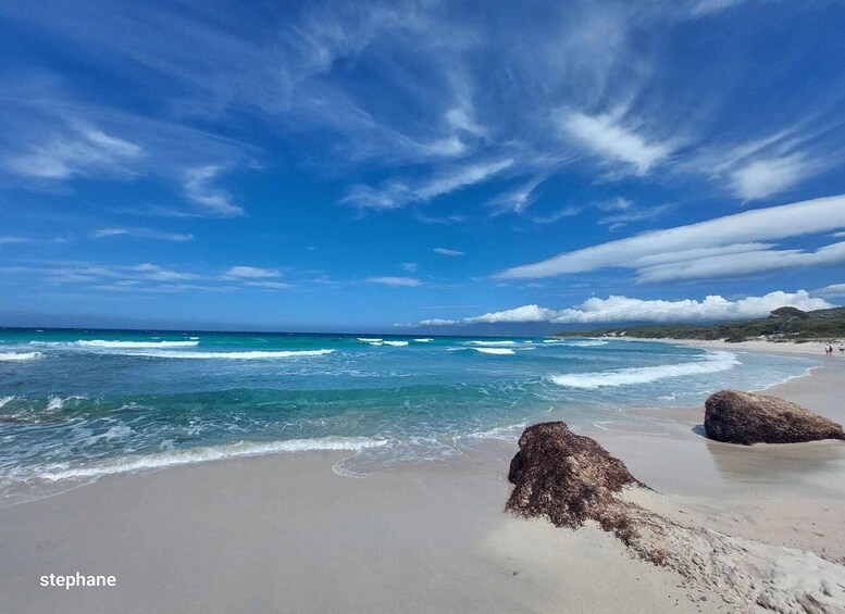 From Calvi: 4x4 Day Tour Mountain & Agriates' Saleccia Beach 1