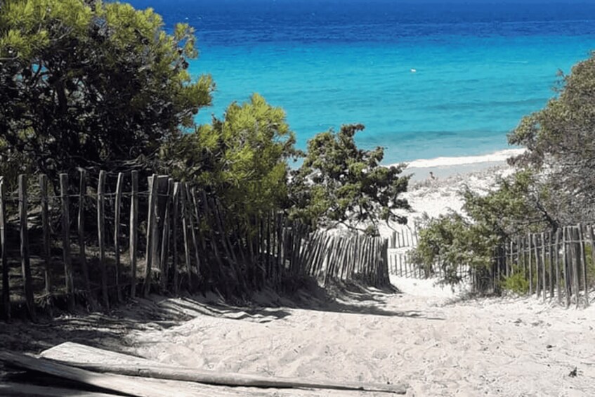 Picture 5 for Activity From Calvi: 4x4 Day Tour Mountain & Agriates' Saleccia Beach 5